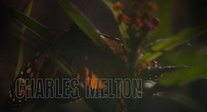 IMAGE: Still - Charles Melton